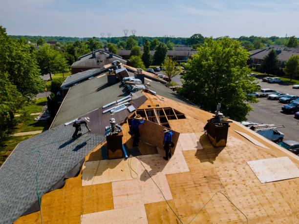 Best Storm Damage Roof Repair  in Pinch, WV