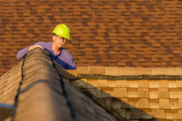 Best Roof Gutter Cleaning  in Pinch, WV